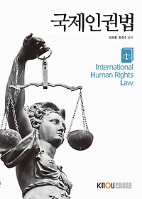 국제인권법 = International Human Rights Law : [법] 표지 이미지