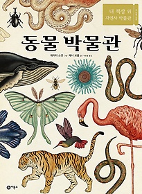 동물 박물관 : 내 책상 위 자연사 박물관 표지 이미지