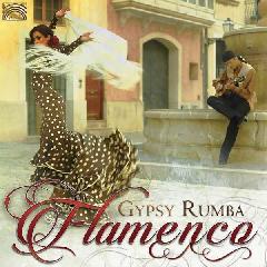 Various Artist - Gypsy Rumba Flamenco (CD)