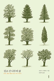 길고 긴 나무의 삶 : 문학, 신화, 예술로 읽는 나무 이야기 표지 이미지