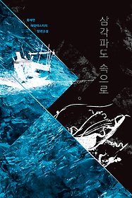 삼각파도 속으로 : 황세연 해양미스터리 장편소설 표지 이미지