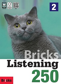Bricks Listening 250 2