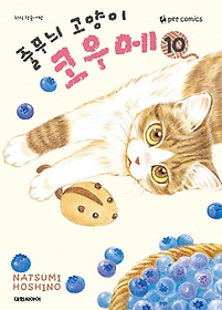 줄무늬 고양이 코우메. 10