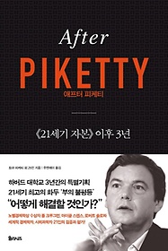 애프터 피케티(After Piketty)