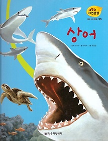 물에 사는 동물 30: 상어