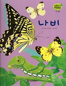 곤충 22: 나비